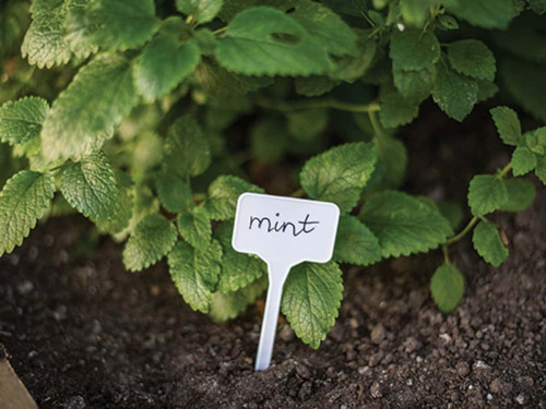 Комплект от 10 табелки за растения 33×9 см